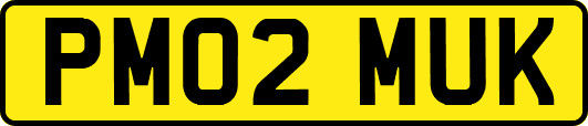 PM02MUK