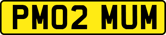 PM02MUM