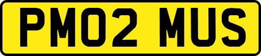 PM02MUS