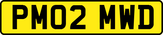 PM02MWD