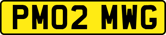 PM02MWG