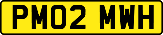 PM02MWH