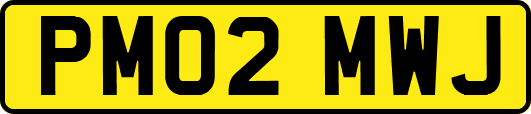 PM02MWJ