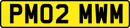 PM02MWM