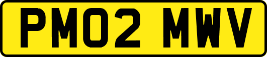 PM02MWV