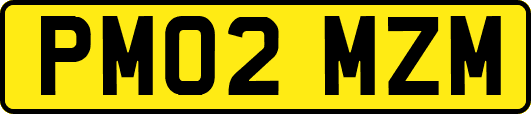 PM02MZM