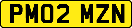 PM02MZN
