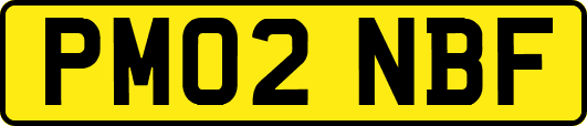 PM02NBF