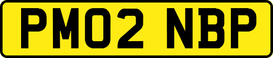 PM02NBP