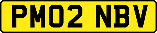 PM02NBV