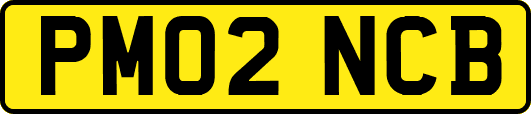 PM02NCB