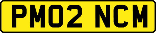 PM02NCM