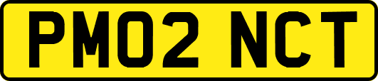 PM02NCT
