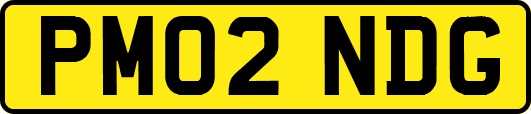 PM02NDG