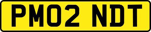 PM02NDT
