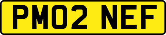 PM02NEF