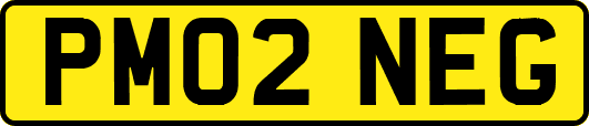 PM02NEG