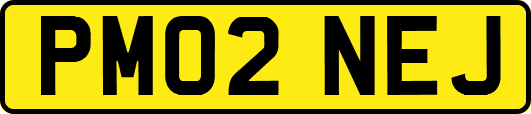 PM02NEJ