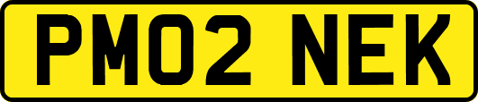 PM02NEK