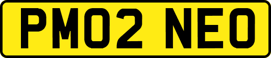PM02NEO