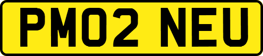 PM02NEU