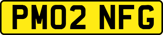 PM02NFG