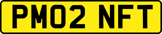 PM02NFT
