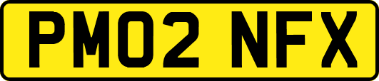 PM02NFX