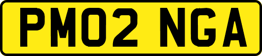 PM02NGA