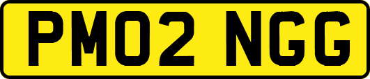 PM02NGG