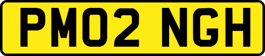 PM02NGH