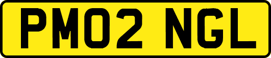 PM02NGL