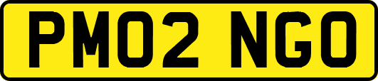 PM02NGO