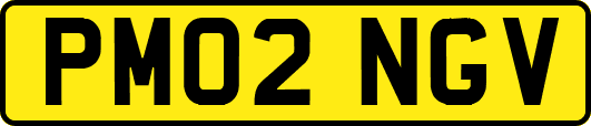 PM02NGV