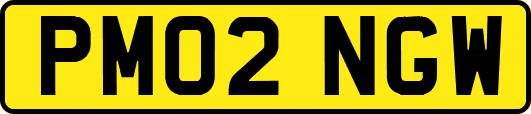 PM02NGW