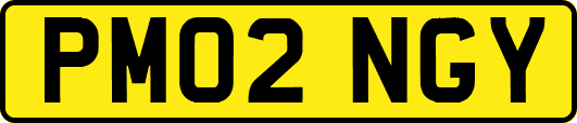PM02NGY