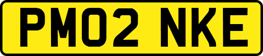 PM02NKE