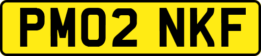 PM02NKF
