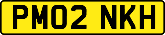 PM02NKH