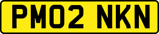 PM02NKN