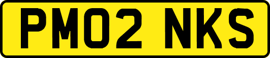 PM02NKS