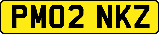 PM02NKZ