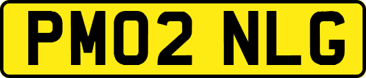 PM02NLG
