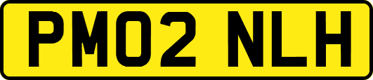 PM02NLH