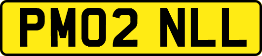 PM02NLL