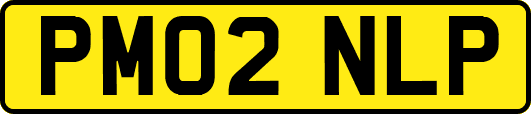 PM02NLP