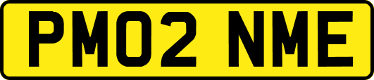 PM02NME