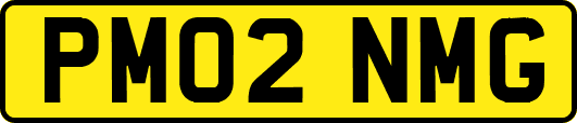 PM02NMG