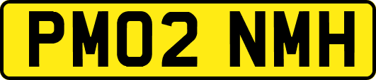 PM02NMH