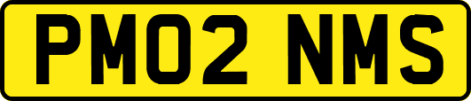 PM02NMS